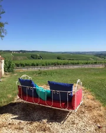 La Maison De Lucien, Gite Au Coeur Du Vignoble Chablisien Préhy Exterior foto