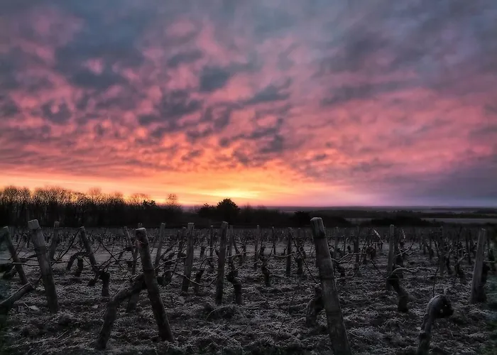 La Maison De Lucien, Gite Au Coeur Du Vignoble Chablisien